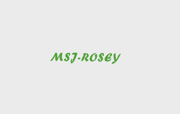 MSJ-Rosey Successfully Passes INTERTEK Social Compliance Audit, Demonstrating Commitment to Ethical Manufacturing Practices